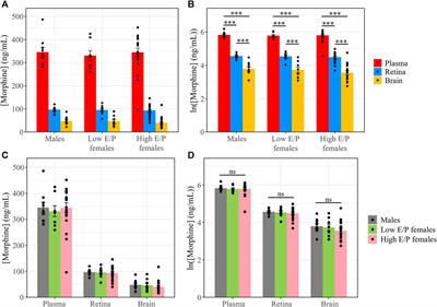 Morphine pharmacokinetics and opioid transporter expression at the blood-retina barrier of male and female mice